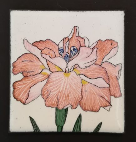 mignature émail peint iris